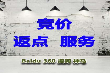 SEM运营公司案例解析：精准广告投放技巧